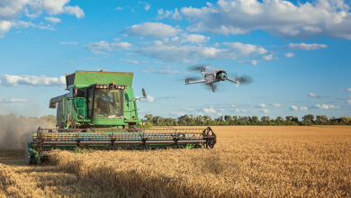 Drones na agricultura: transformação e inovação no campo 